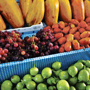 Shopping in Mexico's Markets Shopping in Mexico's Markets
