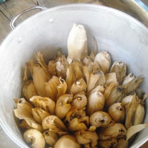 Tamalera filled with tamales.