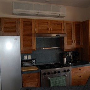 Mini split unit in kitchen