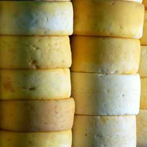 Cheeses