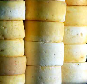 Wine and Cheese Wine and Cheese