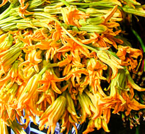 Recipe: Bean and Squash Blossom Quesadillas Recipe: Bean and Squash Blossom Quesadillas