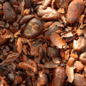 The Taste of Mexico - Chocolate The Taste of Mexico - Chocolate