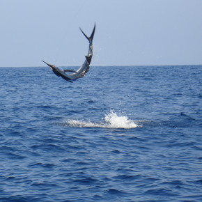 Experience Fly Fishing Experience Fly Fishing
